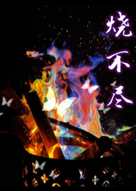 烧不尽回南雀未删减版txt